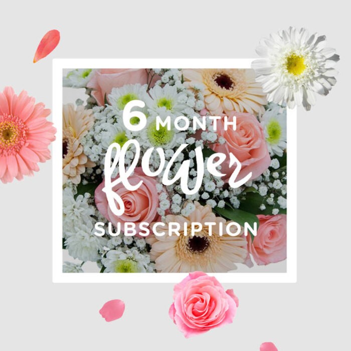 The image shows a thoughtfully composed pastel bouquet that seems to glow with the soft radiance of a late morning wandering through Belsize Park's tree-lined streets. At first glance, the soft pink roses draw the eye, each bloom carefully opened so the inner swirl of petals is visible, velvety and almost porcelain-smooth. Their gentle blush is echoed by a ring of gerbera daisies in pale peach and cool blush tones, whose broader, disk-like faces add a contemporary flourish to the otherwise timeless mix. Slender stems of gypsophila weave through the roses and gerberas, their tiny, star-like white flowers forming a misty, ethereal backdrop that makes the larger blooms appear to float. There are hints of white chrysanthemums nestled in the arrangement too, their many fine petals creating a delicate, almost feathery texture that contrasts with the bold simplicity of the gerberas. Fresh green foliage supports the blooms and frames them, giving the bouquet a natural, garden-picked feeling, as though it could have been gathered after a gentle shower in nearby Primrose Hill Gardens. The colour palette stays firmly in the realm of soft pastels and clean whites, conjuring a sense of serenity and understated celebration, suitable for birthdays, quiet anniversaries, or simple gestures of appreciation. Imagining it on a dining table along Glenloch Road or brightening a studio near England's Lane, the bouquet feels like a promise of continuity-a floral subscription that returns every month with new, freshly arranged stems, each one carefully chosen and hand-tied to bring renewed joy, comfort, and a touch of springtime freshness into homes across Belsize Park.
